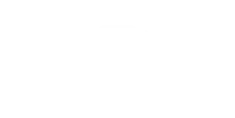 Formato Celular
